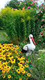 Location gite de vacances en Alsace, Bas-Rhin, � Niederhaslach