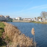 Location Saujon